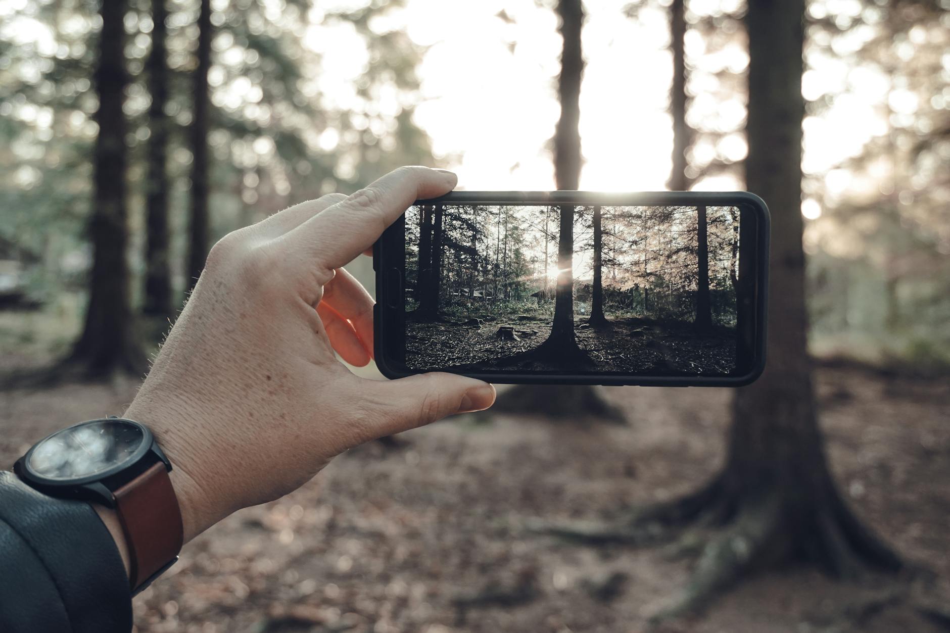 Person using smartphone to take photos, demonstrating mobile photography in action