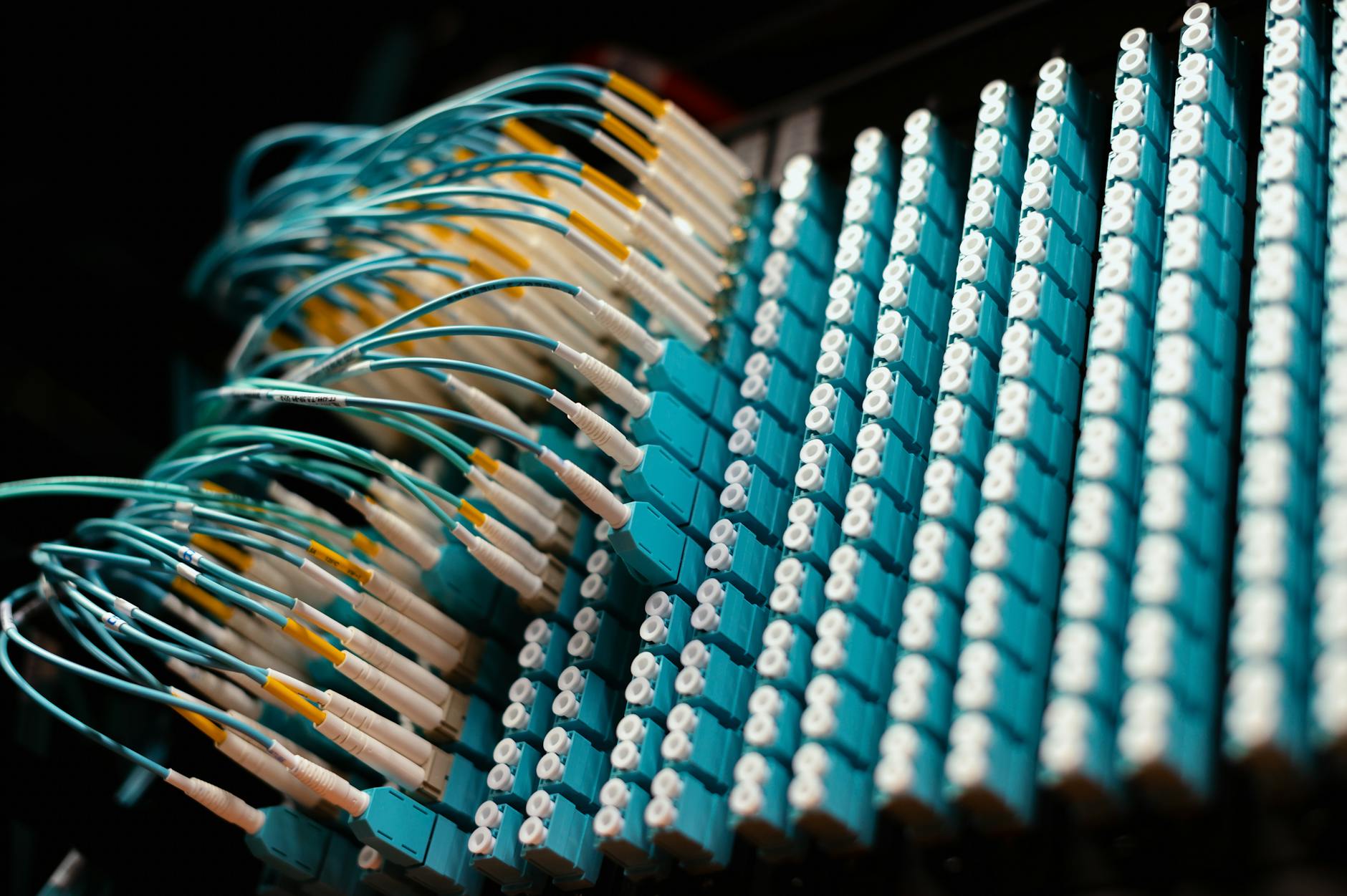 Close-up of ethernet cables plugged into a network switch in a home server setup