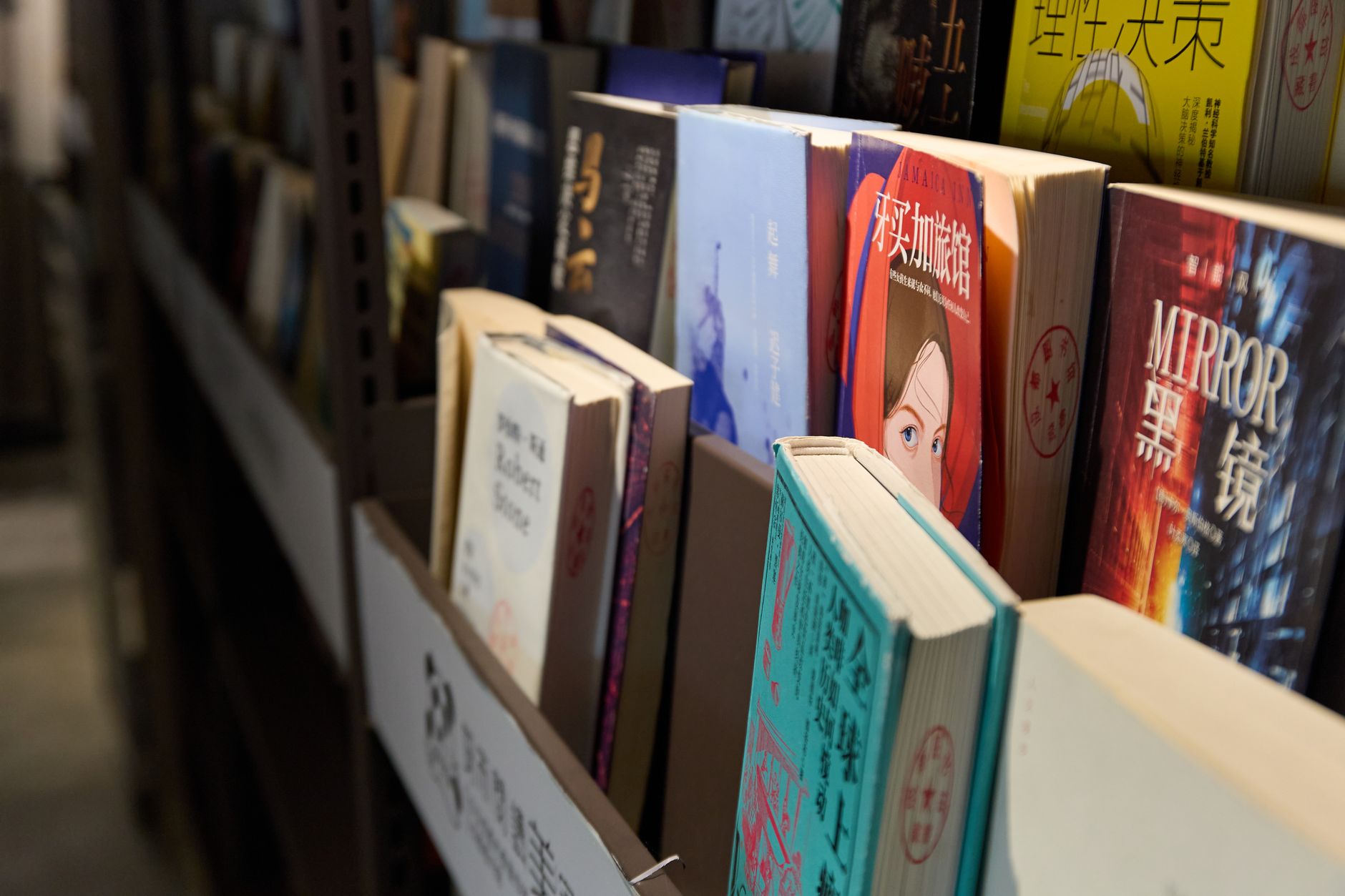 A shelf of manga volumes organized by series