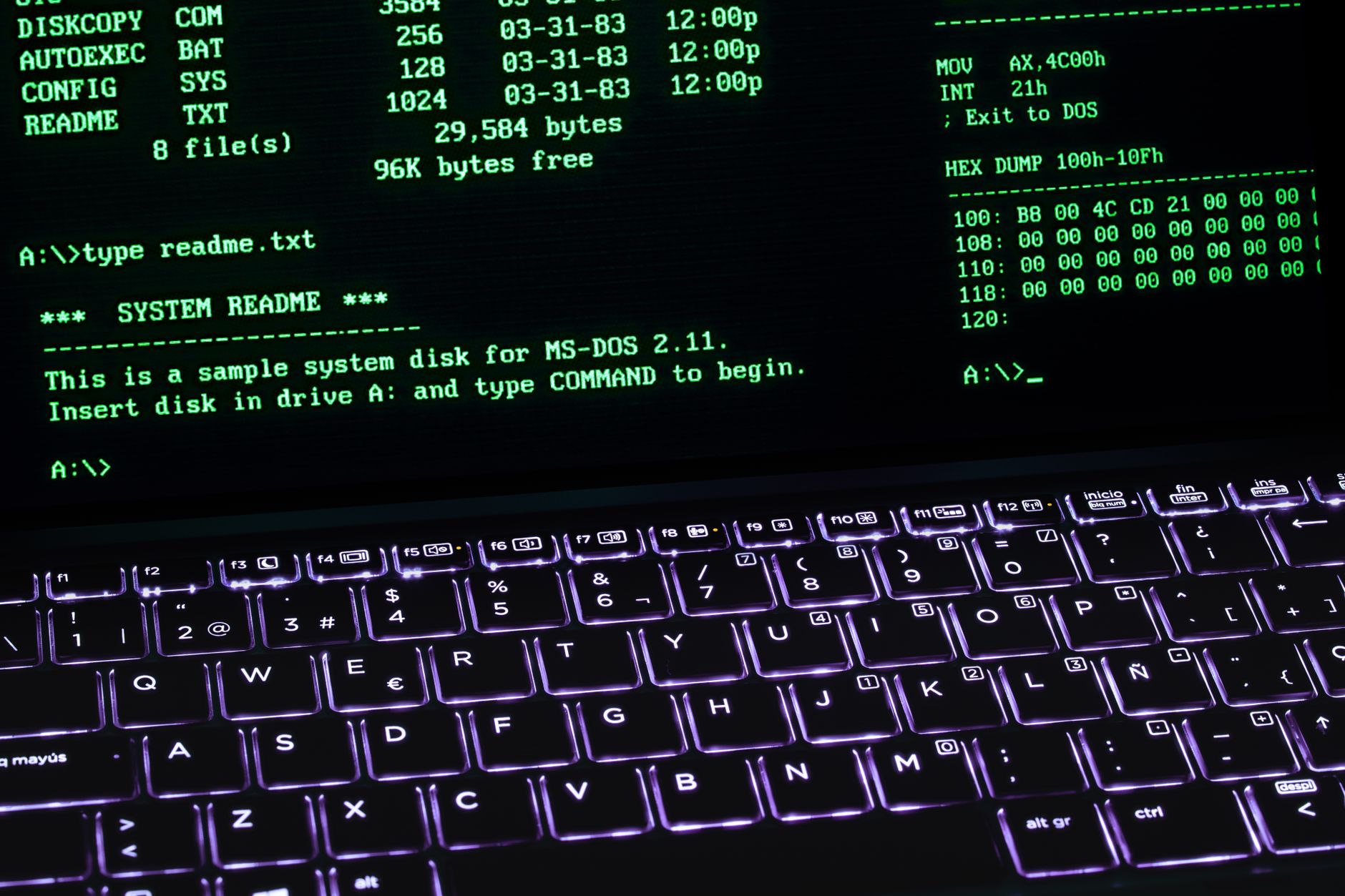 A terminal window displaying Docker Compose commands on a Linux server