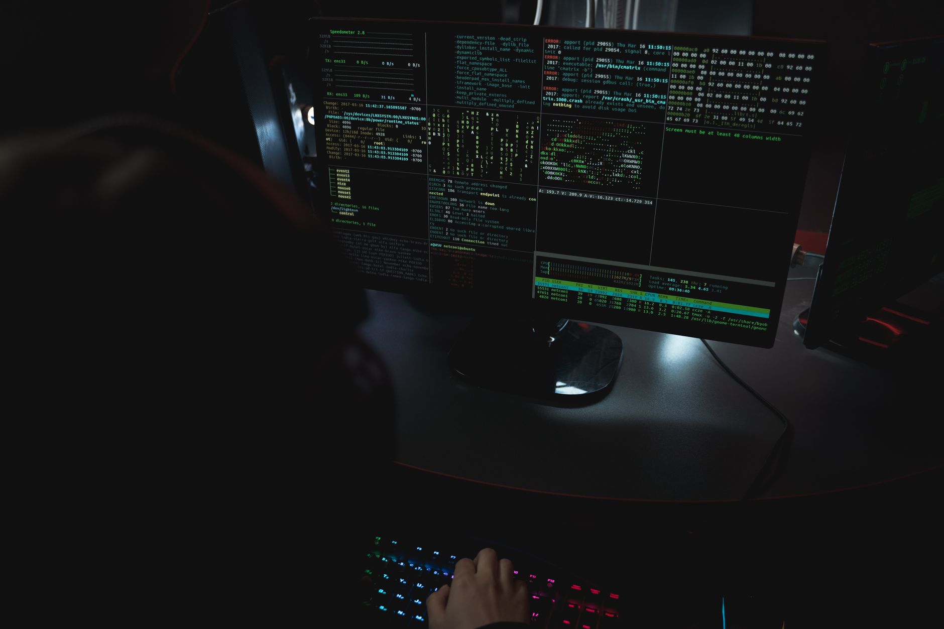 A terminal screen showing Docker container commands running on a Linux server