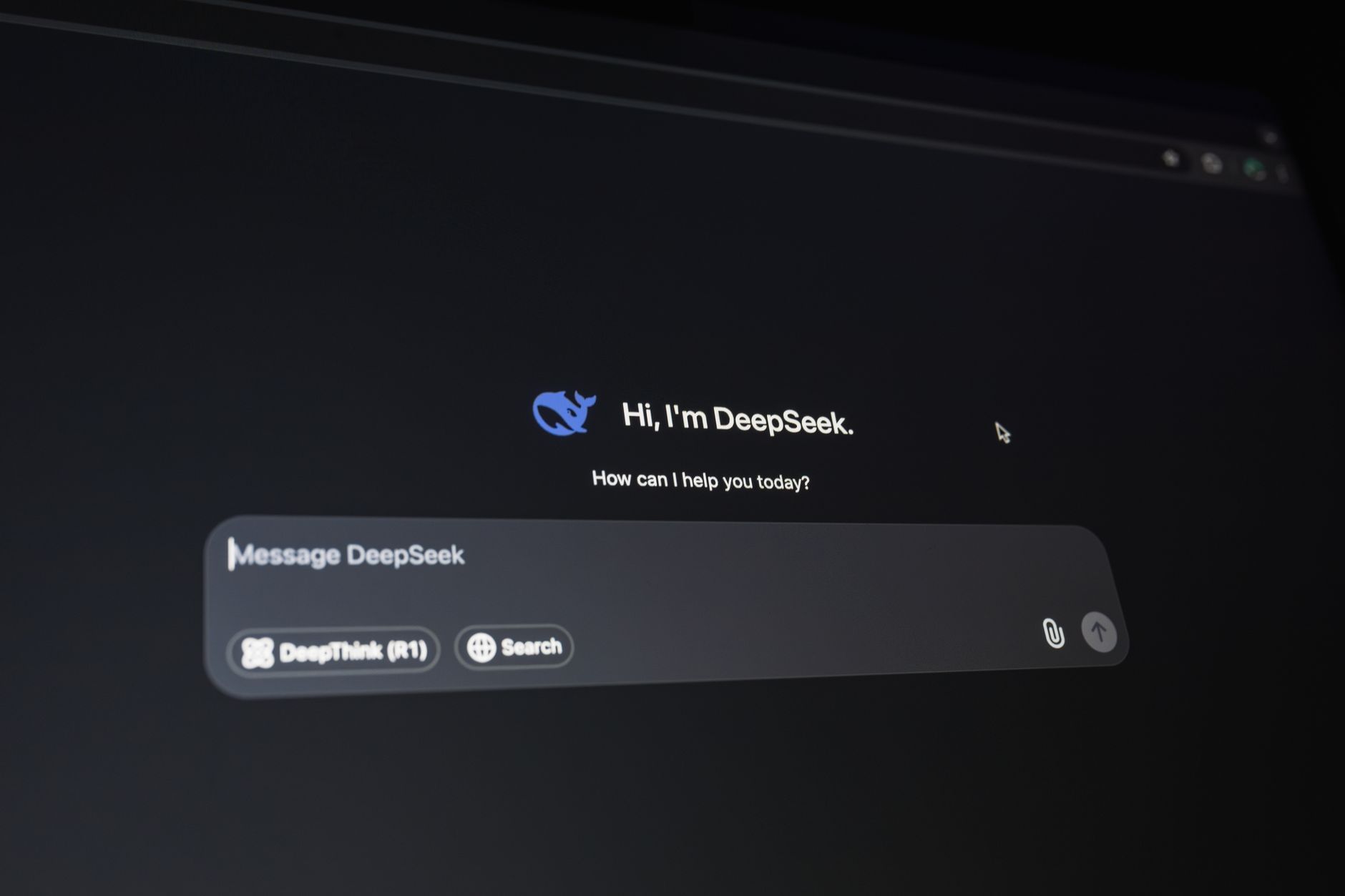 A web browser displaying a self-hosted application interface on a monitor