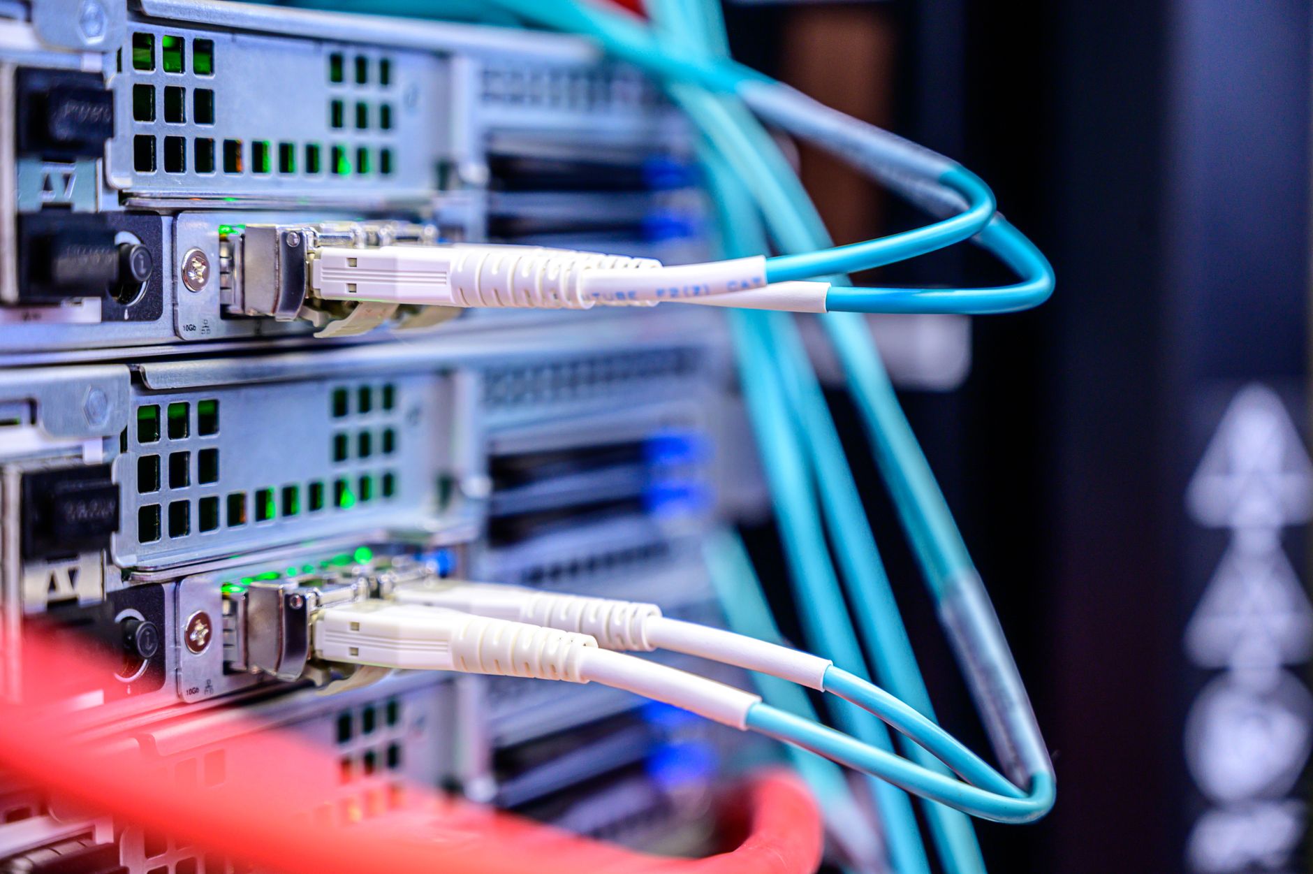 Ethernet cables connected to a network switch in a server environment